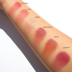 Swatches-2-Gama-Butter-Blush-Dapop-de-Mayoreo-ML-Beauty-Trend